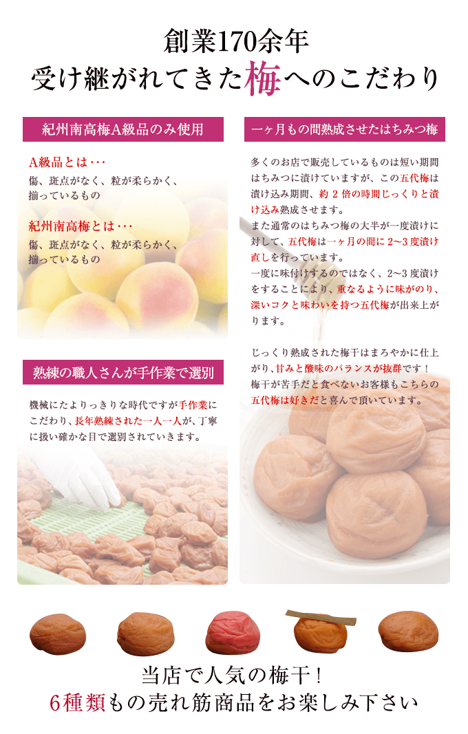 創業170余年 受け継がれてきた梅へのこだわり 当店で人気の梅干!6種類もの売れ筋商品をお楽しみ下さい