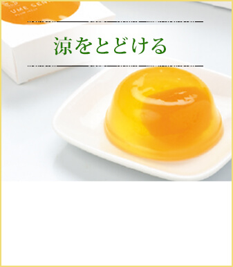 涼をとどける