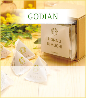GODIAN