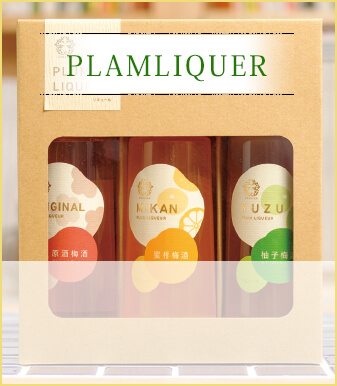PLAMLIQUER