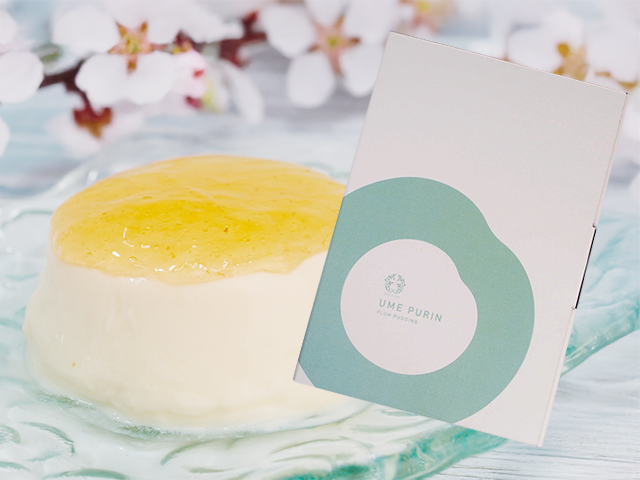 和歌山 梅プリン 6個入