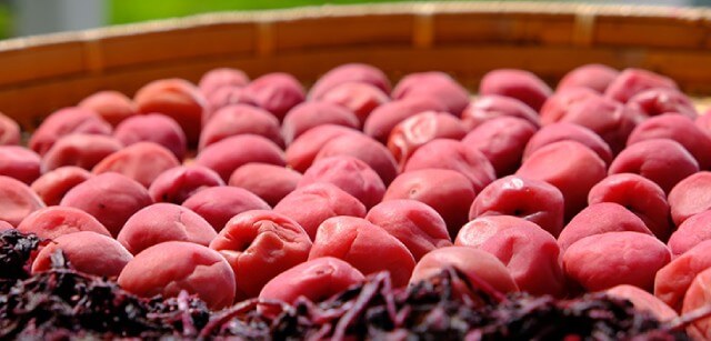 梅レシピ｜赤紫蘇を使った梅干しの漬け方